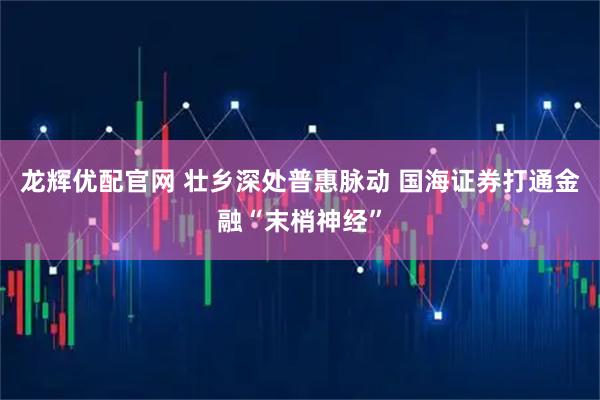 龙辉优配官网 壮乡深处普惠脉动 国海证券打通金融“末梢神经”
