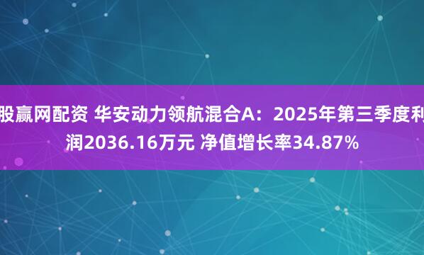 股赢网配资 华安动力领航混合A：2025年第三季度利润2036.16万元 净值增长率34.87%