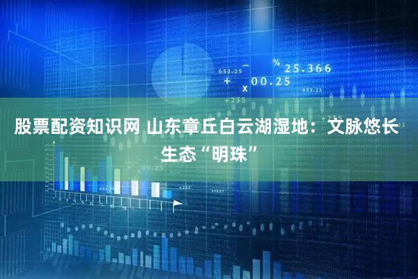 股票配资知识网 山东章丘白云湖湿地：文脉悠长 生态“明珠”