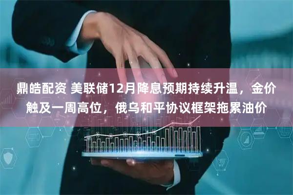 鼎皓配资 美联储12月降息预期持续升温，金价触及一周高位，俄乌和平协议框架拖累油价