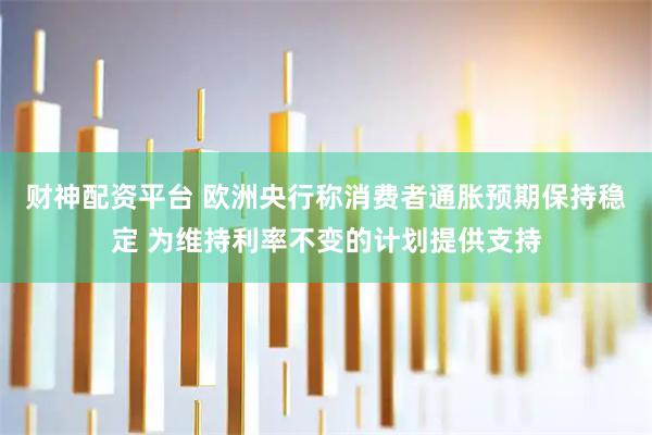 财神配资平台 欧洲央行称消费者通胀预期保持稳定 为维持利率不变的计划提供支持