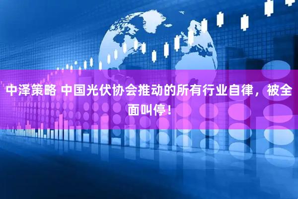 中泽策略 中国光伏协会推动的所有行业自律，被全面叫停！